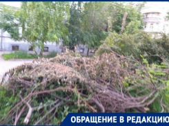 В Таганроге сухие деревья спили и в кучи зачем-то сложили