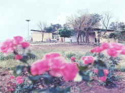 Накануне Дня России в Таганроге вспомнили  заводские базы отдыха