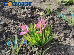 Первая неделя апреля в Таганроге: виват, весна