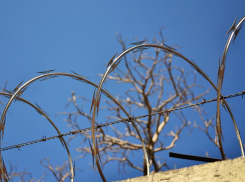 Владимир Путин ужесточил условия содержания заключенных