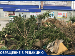 На улице Фрунзе в Таганроге заваливают ветками одинокий счетчик