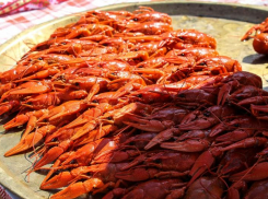 Сколько раков можно поймать таганрожцу за сутки