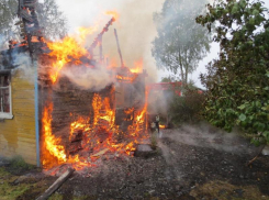 На дачах Таганрога снова пожар