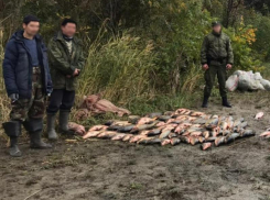 Браконьеров с уловом на 170 тысяч рублей поймали в Таганрогском заливе