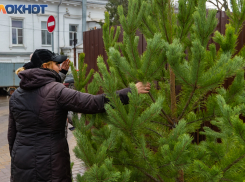 Что делать таганрожцам с елкой после Нового года?
