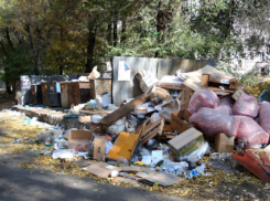 Губернатор потребовал от глав муниципалитетов « снять черные очки и убрать свалки» 