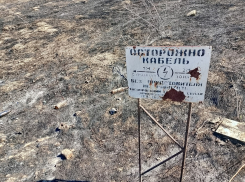 Стихийная мегасвалка в Таганроге травит горожан и дачников, без Москвы проблему не решить