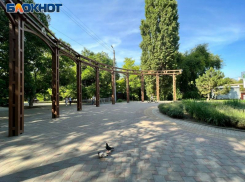 5 проблем рощи Дубки