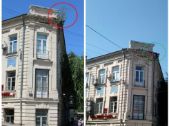 В Таганроге после публикации «Блокнота» с крыши исчезло «дерево-убийца»