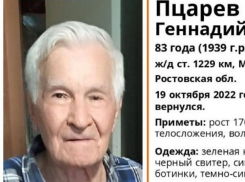 83-летнего пенсионера нашли в районе поселка Красный Бумажник
