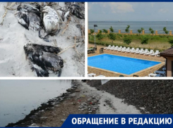 Изнанка отдыха: ужасное зловоние, трупы птиц и рыб увидели таганрожцы за гостиничным комплексом «Кристалл»