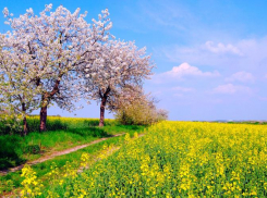 Солнышко и тепло не спешат в Таганрог