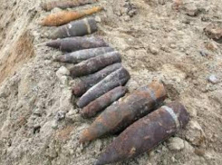 Десятки снарядов времен войны нашли под Таганрогом