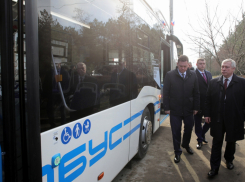 Таганрогский электробус: то ли транспорт, то ли виденье