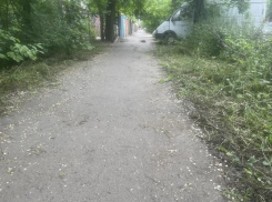  Траву у детского сада Таганрога покосили, но упавшие деревья оставили