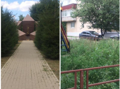 В Таганроге покосили сквер «Звезда», но детскую площадку через дорогу проигнорировали