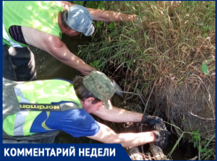 Как чистят «Черепашку» в Таганроге 