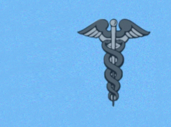 В международный день змей вспомним геральдику Таганрога 