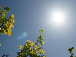 Погода порадует таганрожцев  и теплом, и прохладой