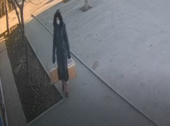 Пять щенков подкинула таганроженка под двери зооклиники