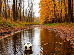 Черепаху вычистили, но в “Подмосковье” грязно: сарказм от таганрожца