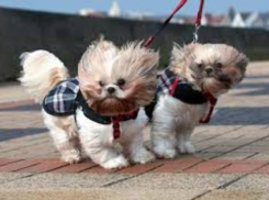 В Таганроге ожидается резкое ухудшение погодных условий