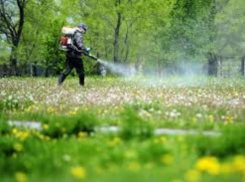 В Таганроге началась дезинфекция территорий