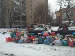 Вонь и нескончаемые свалки: мусорный коллапс поглотил Таганрог с наступлением Нового года