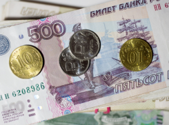 Кто на Дону получает больше всех, а у кого зарплата - кот наплакал