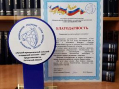 Таганрогский Совет женщин признан одним из лучших в области 