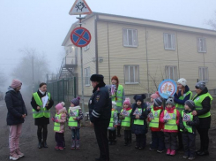 Осторожно! Юные пешеходы Таганрога предупреждают водителей