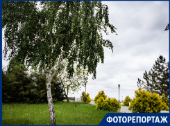 У природы нет плохой погоды, утверждает фотокорреспондент «Блокнот-Таганрог»