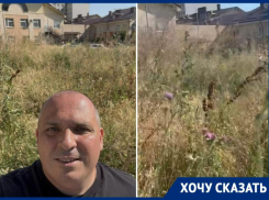 Не ходите, дети, в Африку гулять: детский сад в Таганроге снова тонет в джунглях