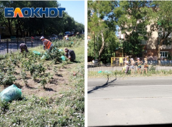 В Таганроге на ул. Дзержинского взялись за розы