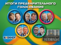 Партия «Яблоко» догнала  «Справедливую Россию» на предварительном голосовании