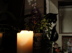 Завтра в Таганроге пройдут плановые отключения электроэнегии