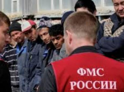 За год в Ростовской области «осели» более 5000 мигрантов