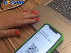 Отменить нельзя оставить: где поставят запятую власти РО в вопросе QR-кодов 