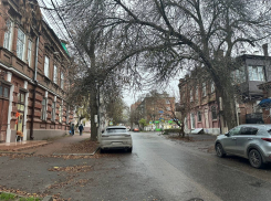 После публикации в “Блокнот Таганрог” опасную ветку спилили в Таганроге