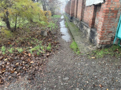 Ходим «лисичьими тропами»: поход в магазин в промзоне Таганрога превращается в экстрим