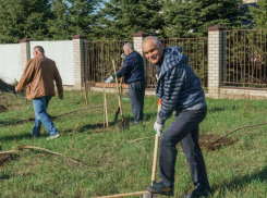Северный поселок в Таганроге будет краше, там посадили клены