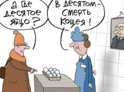 В Таганроге яйца будут  фасовать старым способом - «десятками»