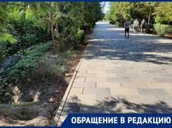 Таганрожец озабочен разрушением почвы в Приморском парке