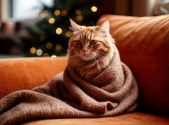 Тепло исчезнет в некоторых таганрогских домах с 29 ноября по 1 декабря