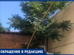 «Утечки нет, значит всё в порядке», - Горгаз отказывает таганроженке, которую пугает хлипкая труба