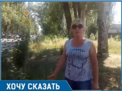 Амброзия у школы №24 в Таганроге  разгневала горожанку, на детской площадке по ул. Свобода такая же история