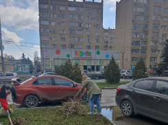 Таганрожцы выразили любовь к городу через субботник