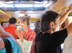 Плохо без трамваев: жители возмущены повышенным пассажиропотоком в маршрутках