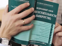 За препятствие процедуре банкротства директоров двух таганрогских компаний накажут штрафом