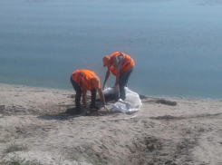 Принести пользу обществу и получить деньги – на какую временную работу можно устроиться в Таганроге